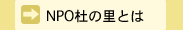 NPOm̗Ƃ